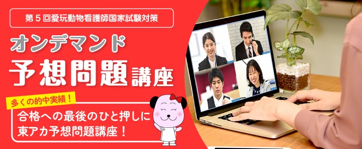 オンデマンド予想問題講座