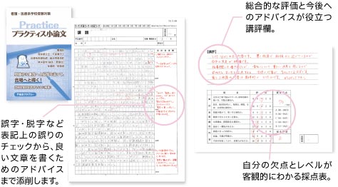 小論文 添削例