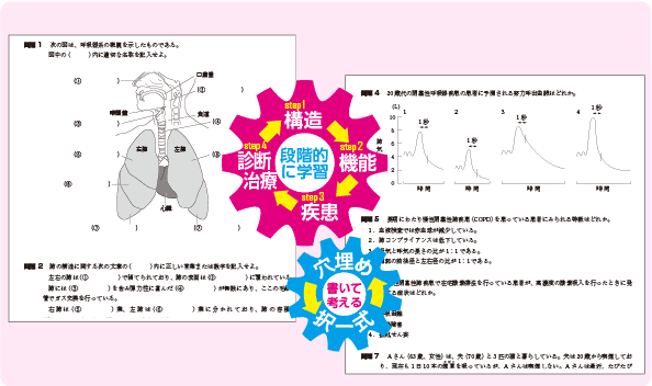 コンプリートシリーズ