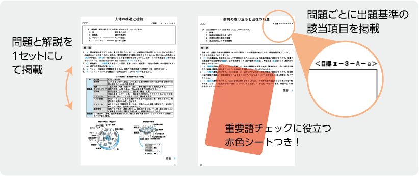 解答解説書中身