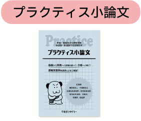 プラクティス小論文