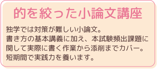 的を絞った小論文講座