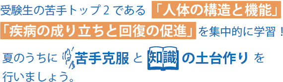 受講生の苦手トップ2である「人体の構造と機能」「疾病の成り立ちと回復の促進」を集中的に学習！夏のうちに苦手克服と知識の土台作りを行いましょう。