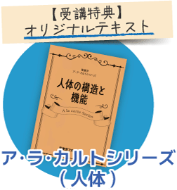 受講特典：オリジナルテキスト