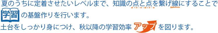 夏のうちに定着させたいレベルまで、知識の点と点を繋げ線にすることで学習の基盤作りを行います。土台をしっかり身につけ、秋以降の学習効率アップを図ります。