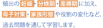 頻出の 妊娠 ・ 分娩期 ・ 産褥期 に加え、 母子対策 ・ 家族形態 や役割の変化など、過去問題を通して学習します。