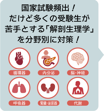 国家試験頻出!だけど多くの受験生が
苦手とする「解剖生理学」を分野別に対策!