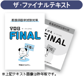 ザ・ファイナルテキスト