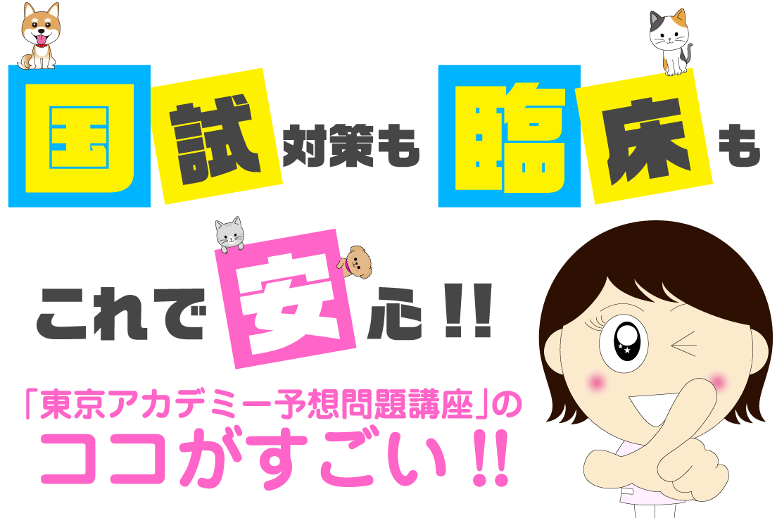 国試対策も臨床もこれで安心！「東京アカデミー予想問題講座」のココがすごい！
