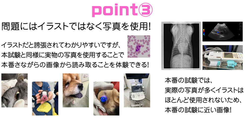 point3 問題にはイラストではなく写真を使用！