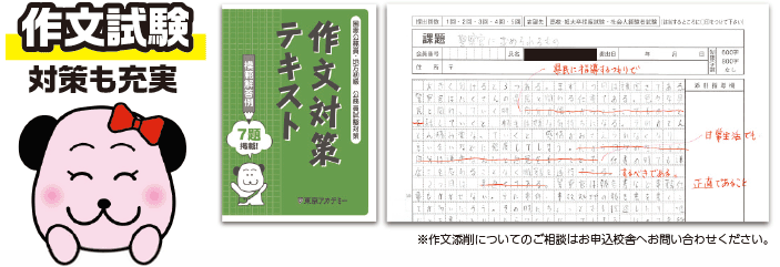 作文試験対策も充実