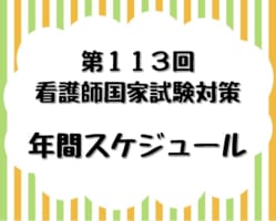 看護師国家試験　年間スケジュール