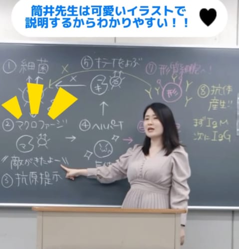 看護師国家試験対策講座担当(東京校)　筒井先生のご紹介