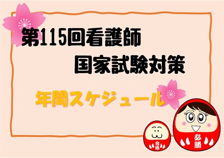 看護師国家試験対策　充実の年間スケジュール